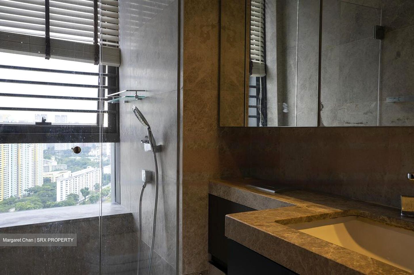 Centennia Suites (D9), Condominium #486483331